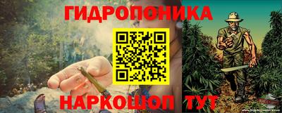 мяу мяу мука Лесосибирск