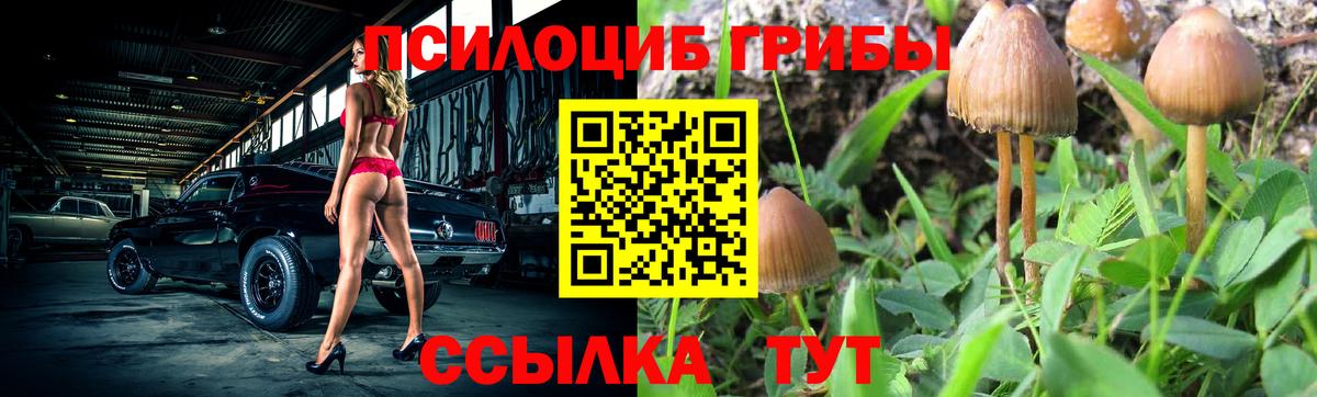 Галлюциногенные грибы прущие грибы  Галлюциногенные грибы мицелий  Вход с VPN  Димитровград 