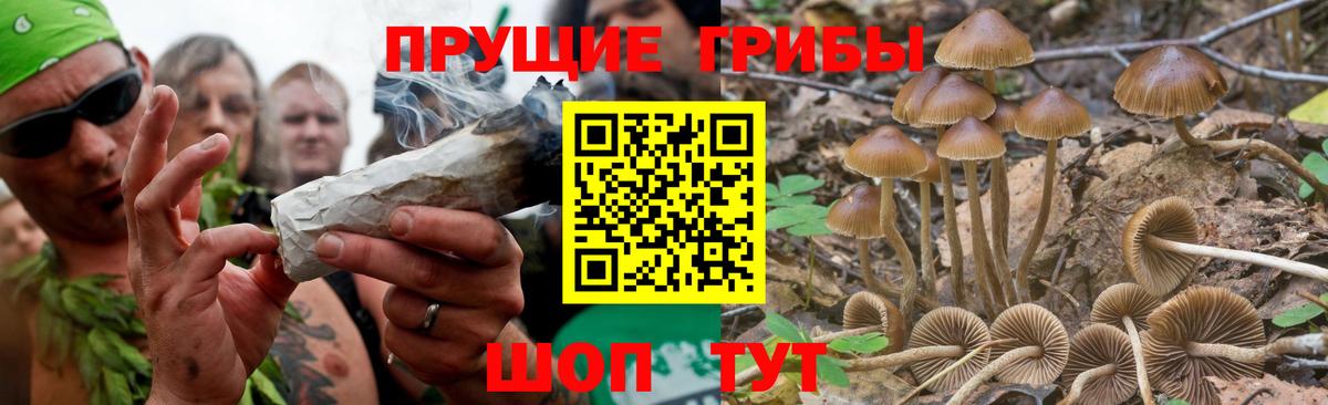 Псилоцибиновые грибы MAGIC MUSHROOMS Димитровград
