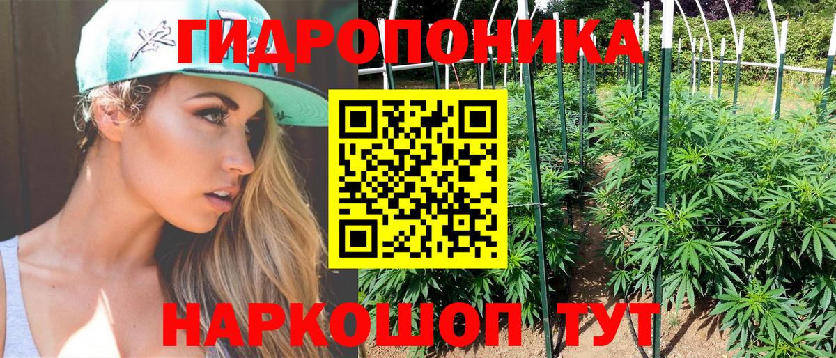 Марихуана OG Kush  Вход с VPN  Димитровград  МАРИХУАНА конопля  Каннабис AK-47 